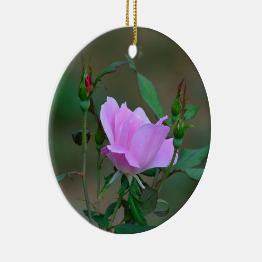 Ornament Roos overspoelen (Rechts)