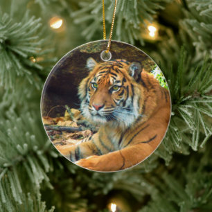 Ornament Siberian Tiger
