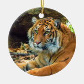 Ornament Siberian Tiger (Voorkant)