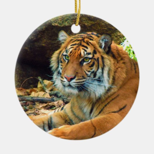 Ornament Siberian Tiger (Voorkant)