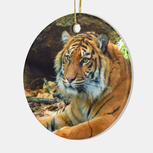 Ornament Siberian Tiger (Links)