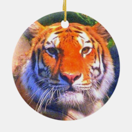 Ornament Siberian Tiger (Achterkant)