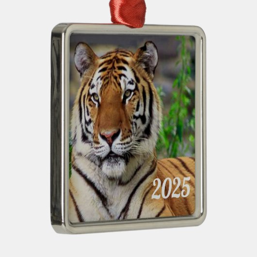 Ornament Siberian Tiger (Rechts)
