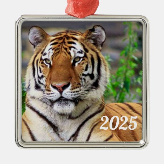 Ornament Siberian Tiger (Voorkant)