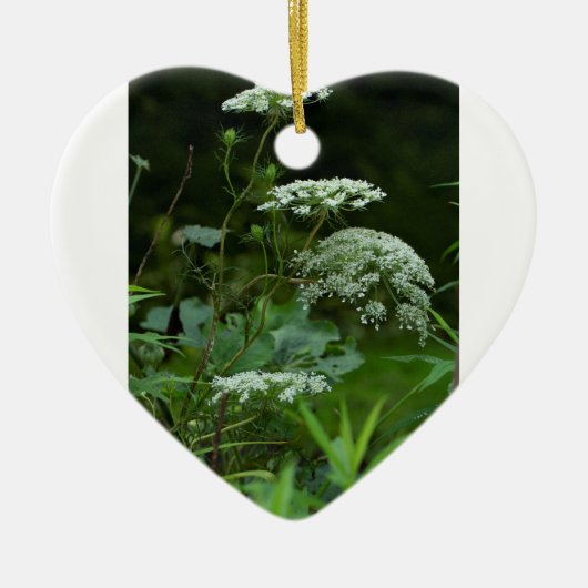 ornament sjabloon (Voorkant)