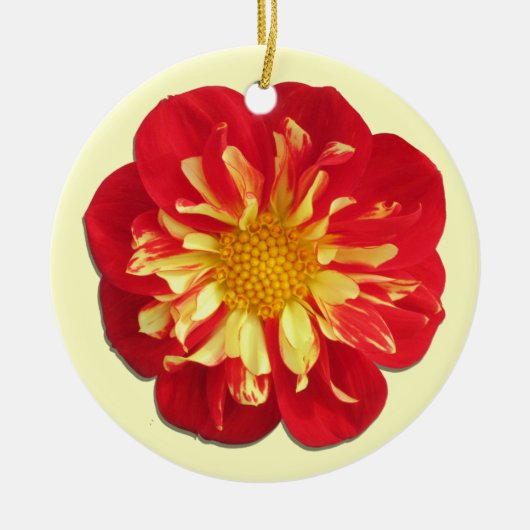 Ornament - StarSister Dahlia (Voorkant)