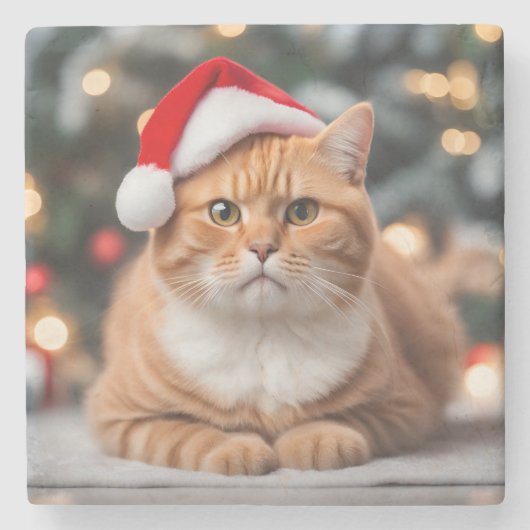 Ornament Stenen Onderzetter (Voorkant)