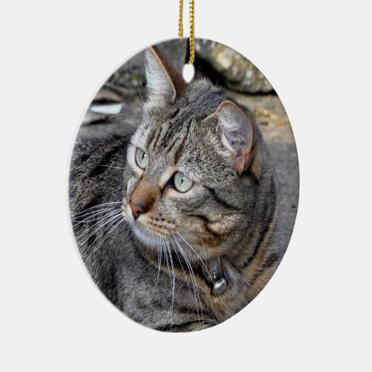 Ornament: Tabby cat Keramisch Ornament (Rechts)