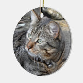 Ornament: Tabby cat Keramisch Ornament (Links)