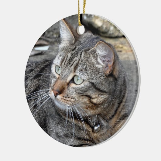 Ornament: Tabby cat Keramisch Ornament (Links)