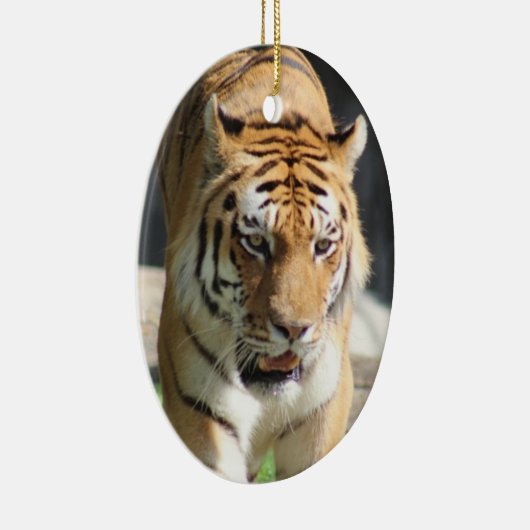 Ornament Tiger (Rechts)