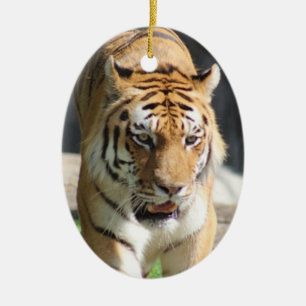 Ornament Tiger