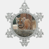 Ornament tijgerkub (Voorkant)