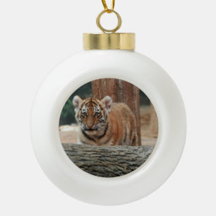 Ornament tijgerkub