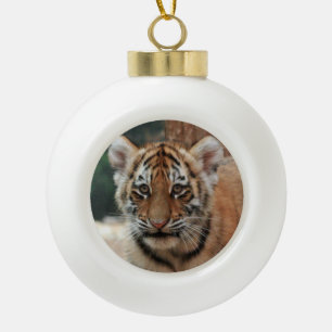 Ornament tijgerkub
