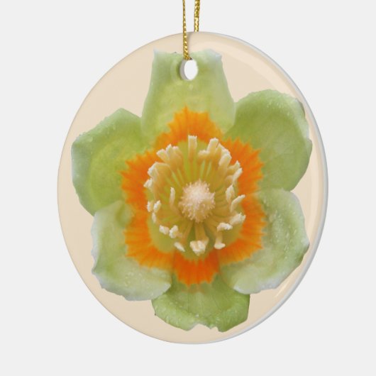 Ornament - Tulp Poplar Tulp op crème (Links)