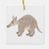 Ornament van Aardvark (Voorkant)