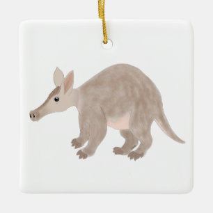 Ornament van Aardvark