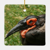 Ornament van Afrikaanse Ground Hornbill (Achterkant)