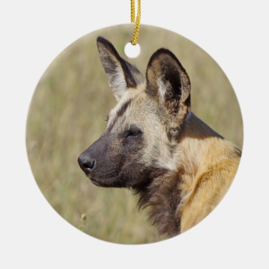 Ornament van Afrikaanse Wild Dog (Voorkant)