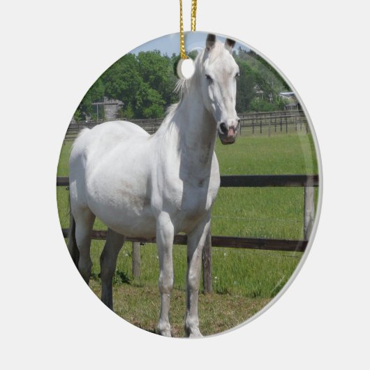 Ornament van Arabische paarden (Links)