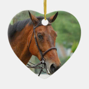 Ornament van Arabische paarden