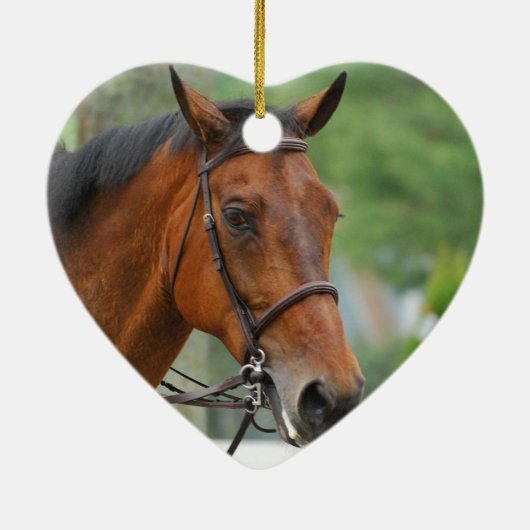 Ornament van Arabische paarden (Achterkant)