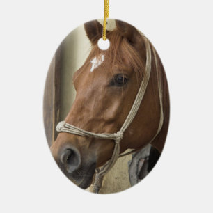 Ornament van Arabische paarden