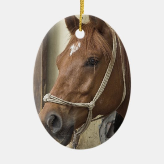 Ornament van Arabische paarden (Voorkant)