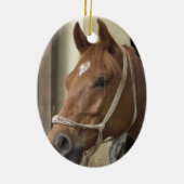 Ornament van Arabische paarden (Achterkant)