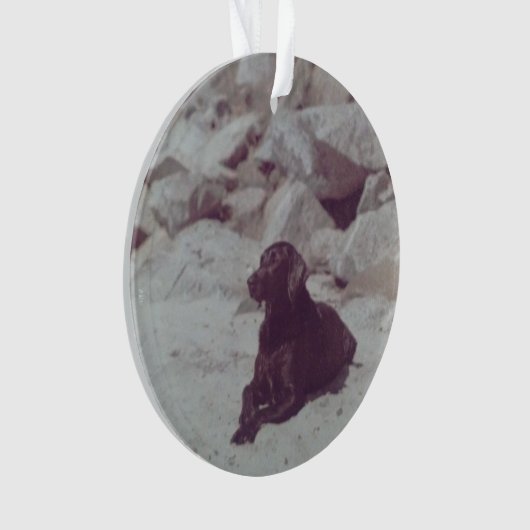 Ornament van Baker (voorkant)