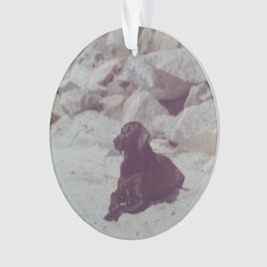 Ornament van Baker (voorkant)