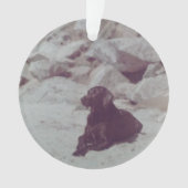 Ornament van Baker (voorkant)