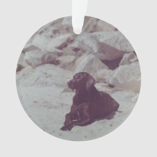 Ornament van Baker (voorkant)