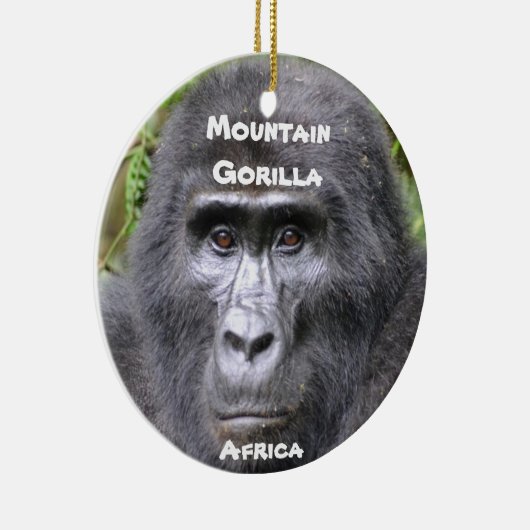 Ornament van bedreigde diersoorten (Rechts)