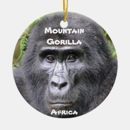 Ornament van bedreigde diersoorten (Voorkant)