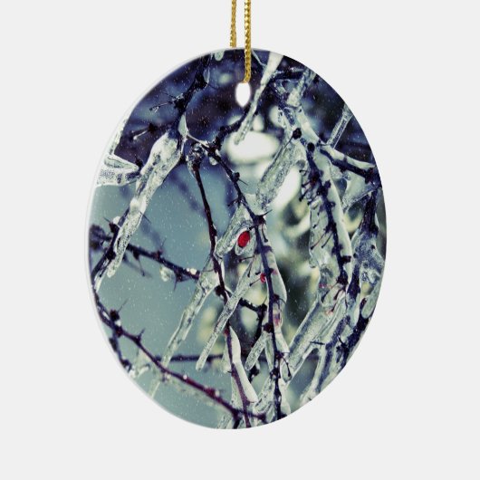 Ornament van Berry, bevroren (Rechts)