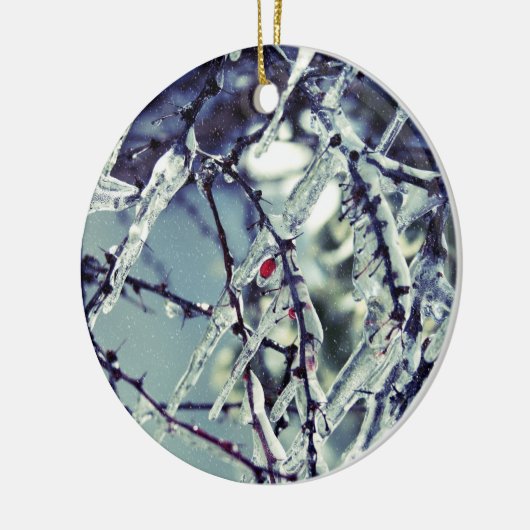 Ornament van Berry, bevroren (Links)