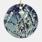 Ornament van Berry, bevroren (Achterkant)