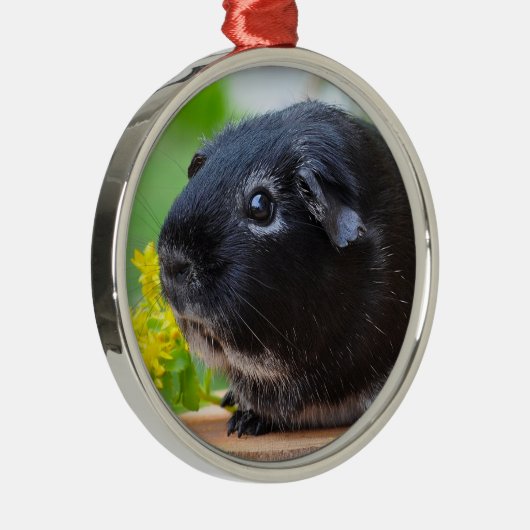 Ornament van Black Guinea Pig Ceramic (Rechts)