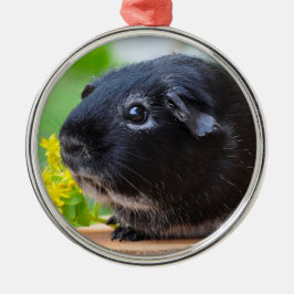 Ornament van Black Guinea Pig Ceramic