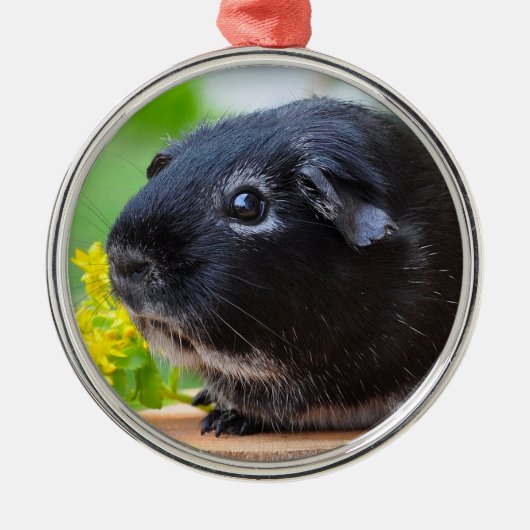 Ornament van Black Guinea Pig Ceramic (Voorkant)