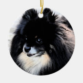 Ornament van Black & Tan Pomeranian (Voorkant)