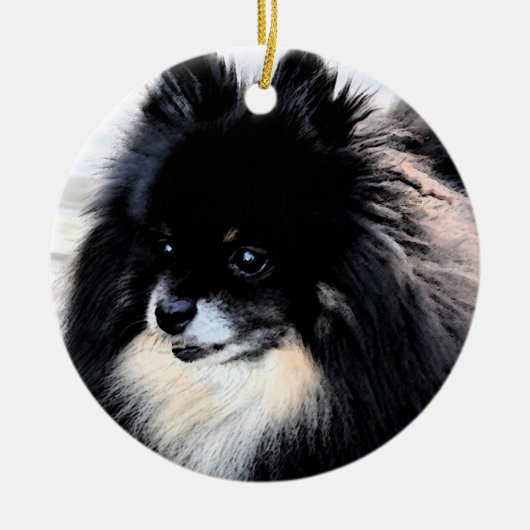 Ornament van Black & Tan Pomeranian (Voorkant)
