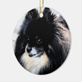 Ornament van Black & Tan Pomeranian (Links)