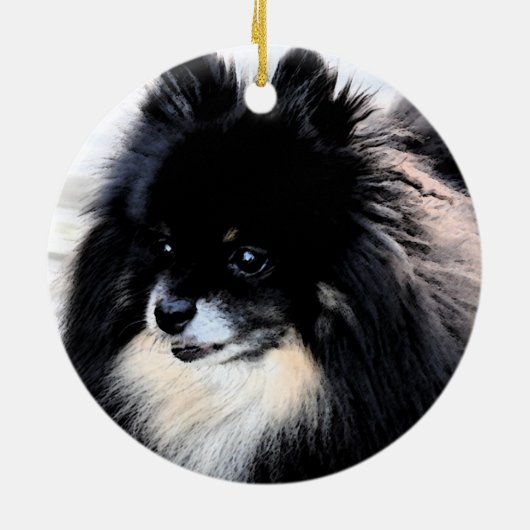 Ornament van Black & Tan Pomeranian (Achterkant)