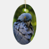 Ornament van blauwe papegaai (Rechts)