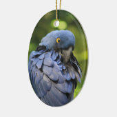 Ornament van blauwe papegaai (Links)