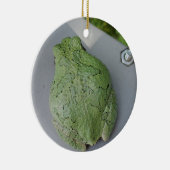 Ornament van boomkikker (Rechts)