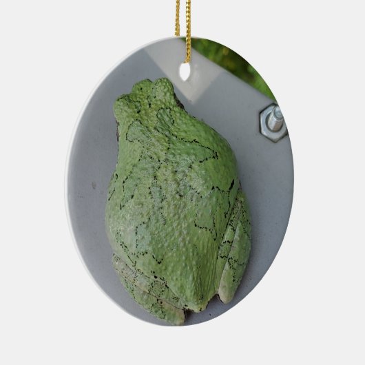 Ornament van boomkikker (Rechts)